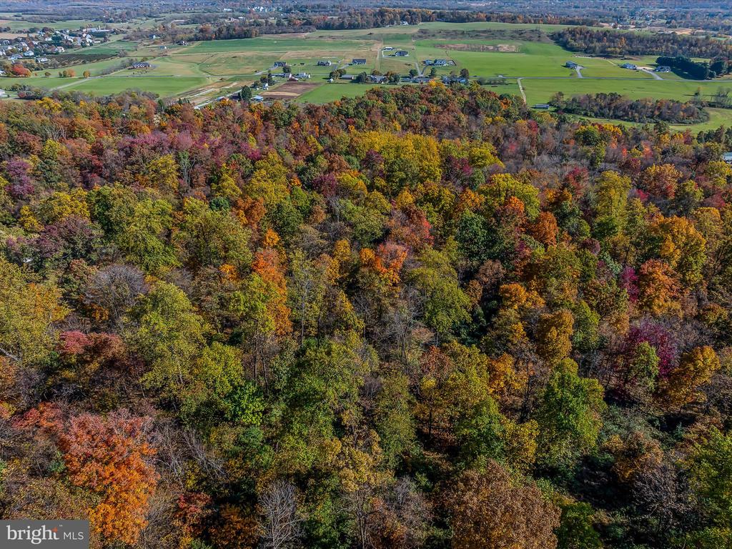 COPPERHEAD LANE
