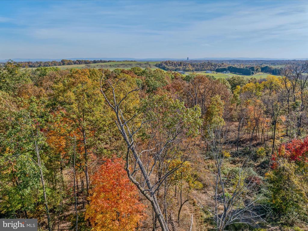 COPPERHEAD LANE