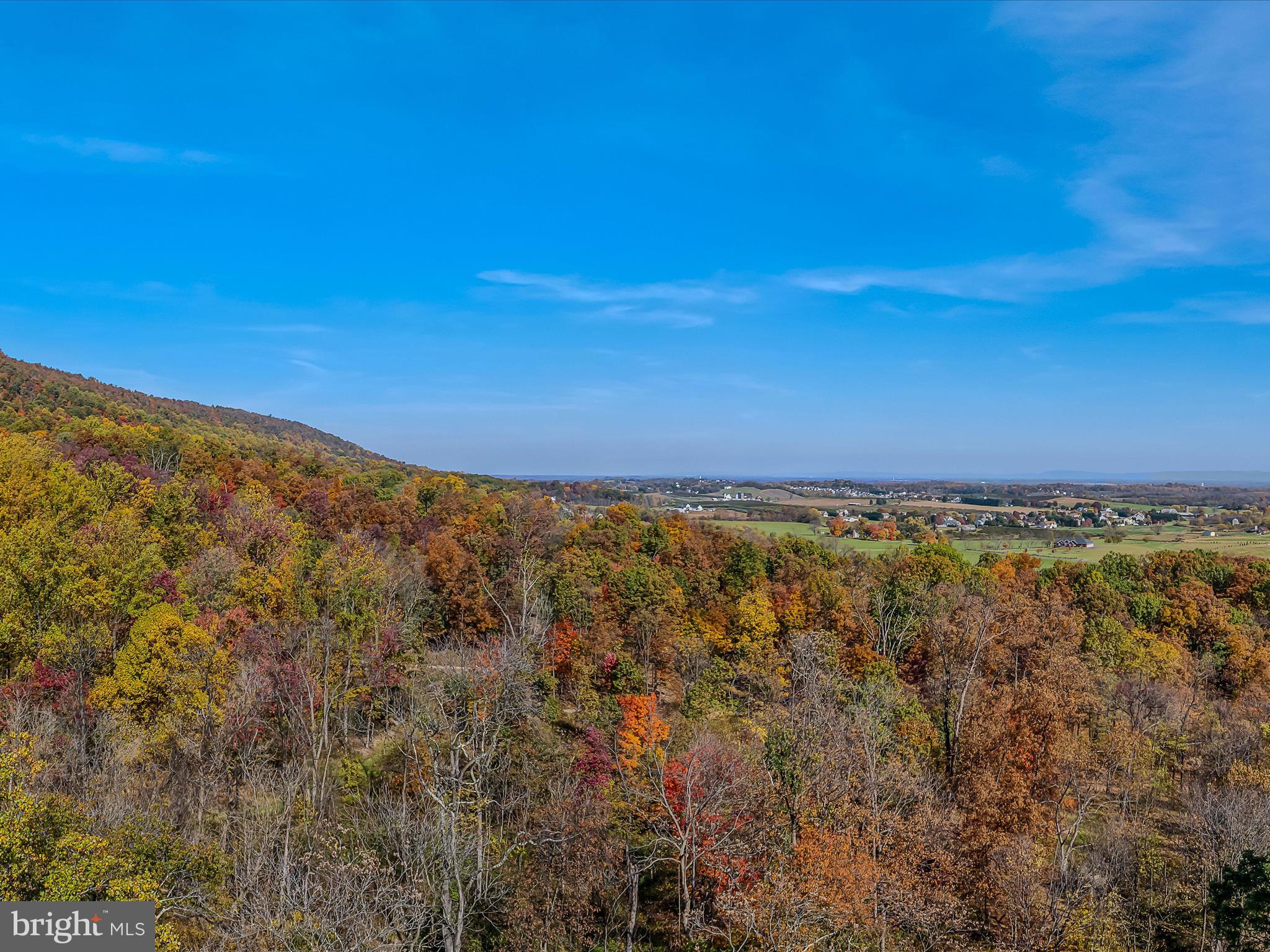 COPPERHEAD LANE