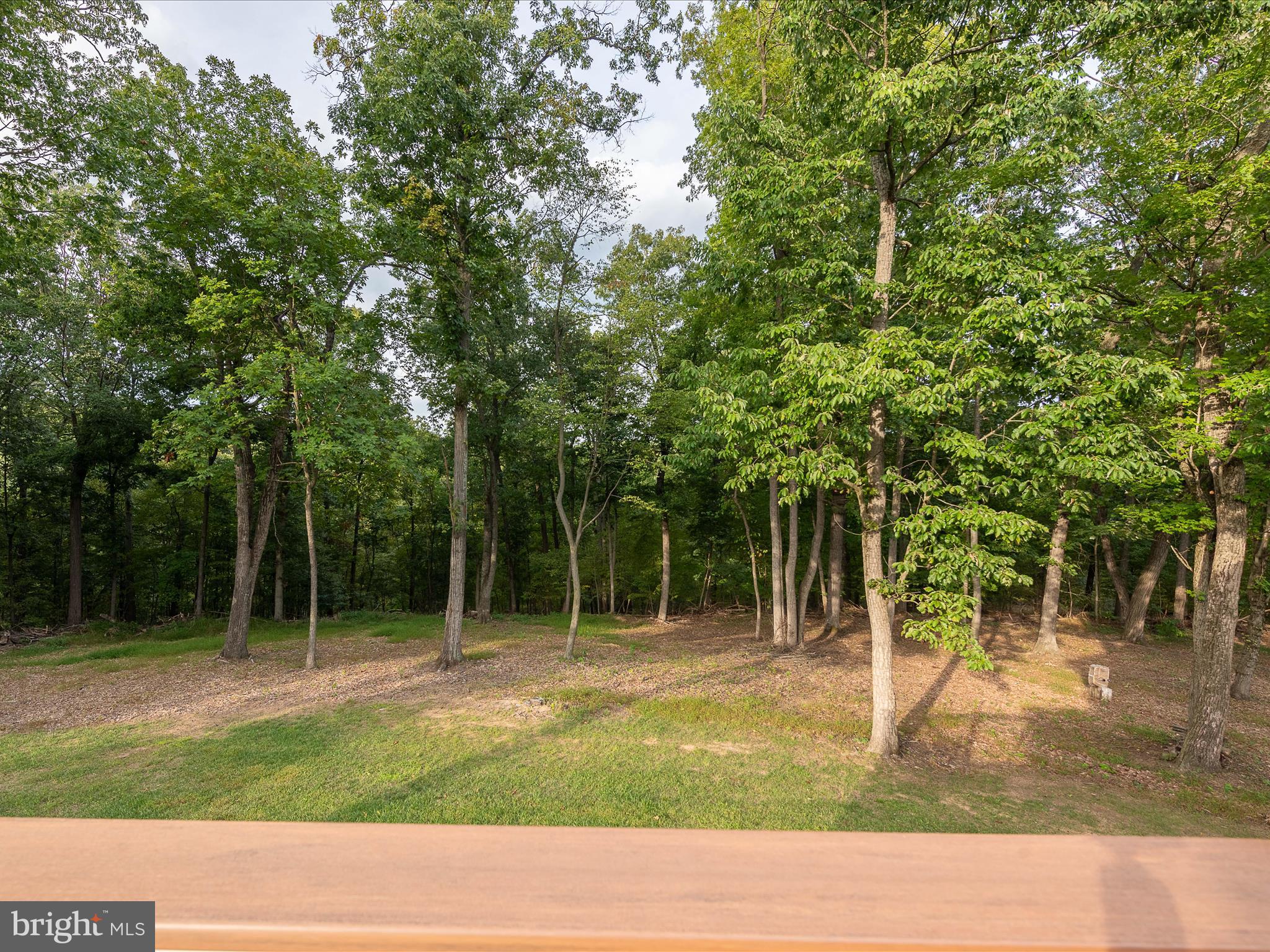 171 LACKAWANNA LANE