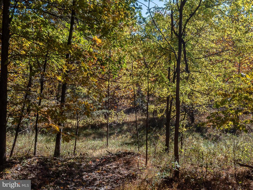 TUSCARORA PIKE PARCEL 13