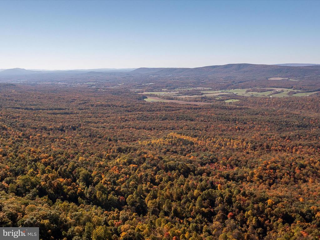 TUSCARORA PIKE PARCEL 13