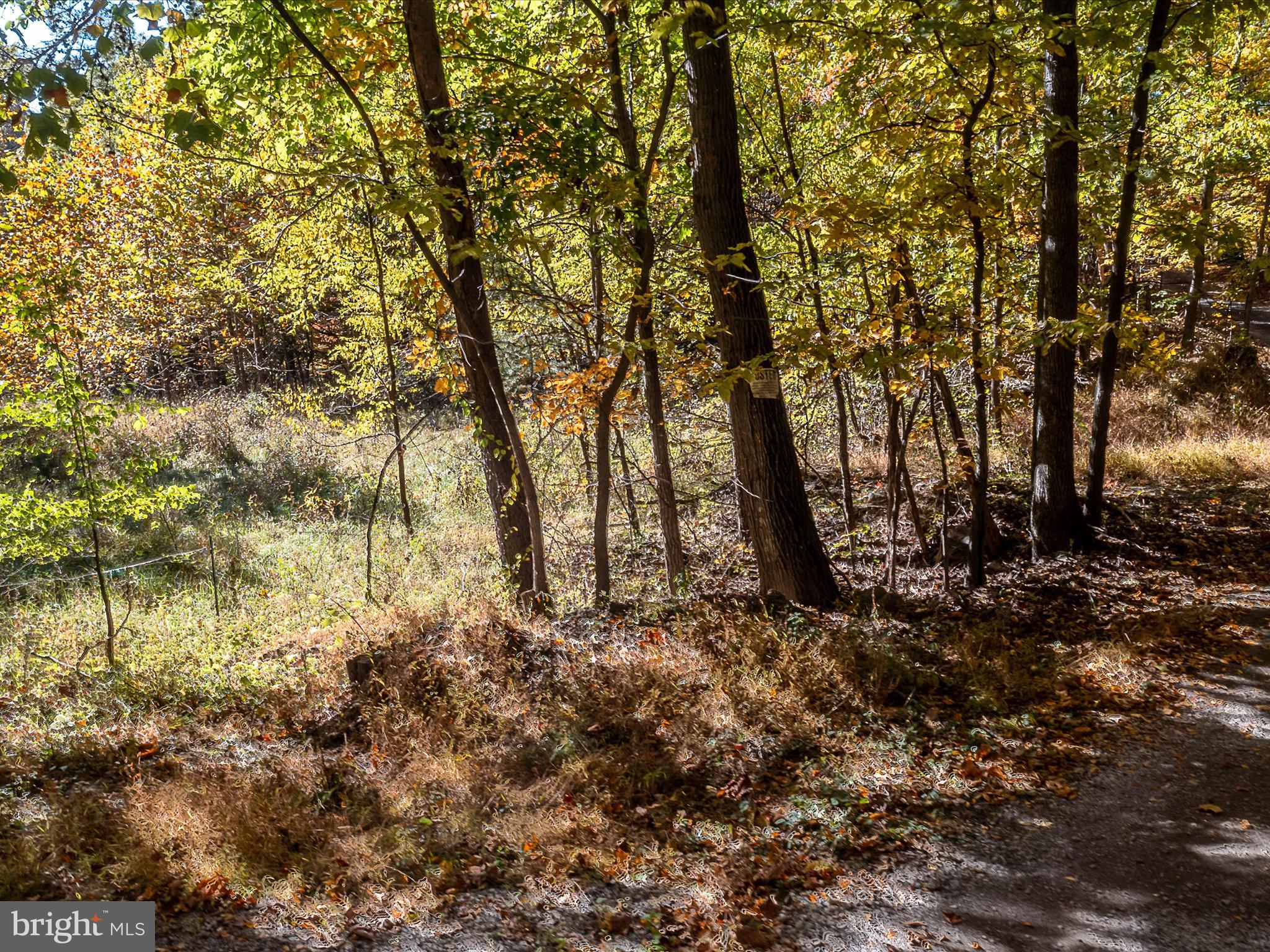TUSCARORA PIKE PARCEL 13