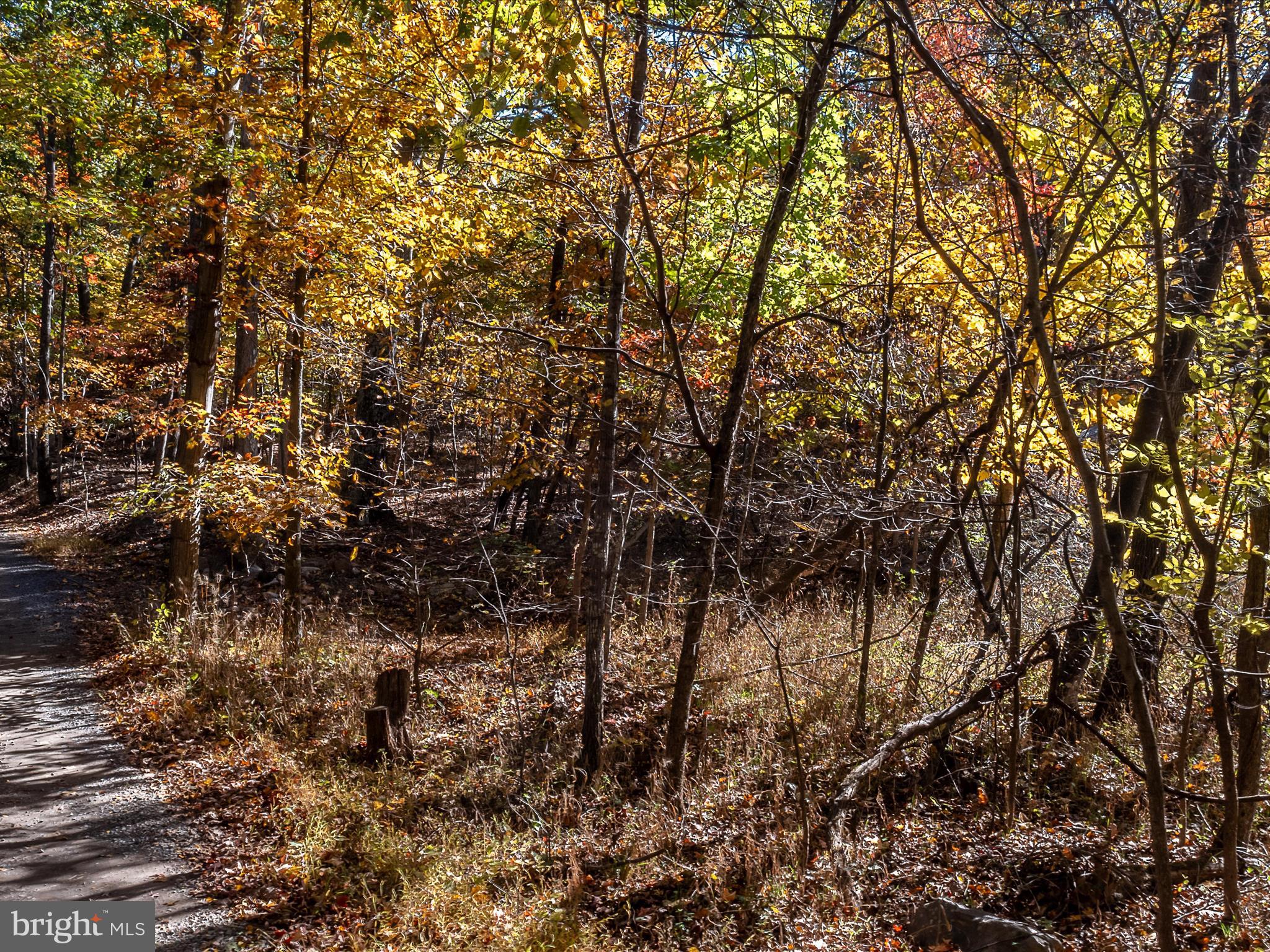 TUSCARORA PIKE PARCEL 13