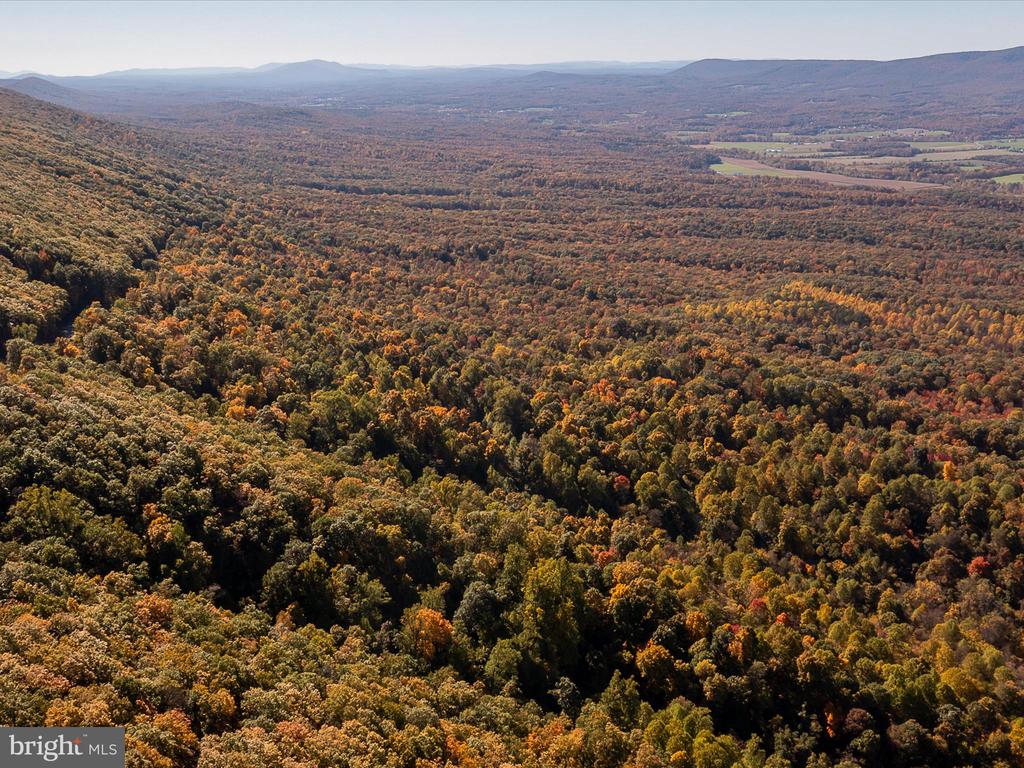 TUSCARORA PIKE PARCEL 13