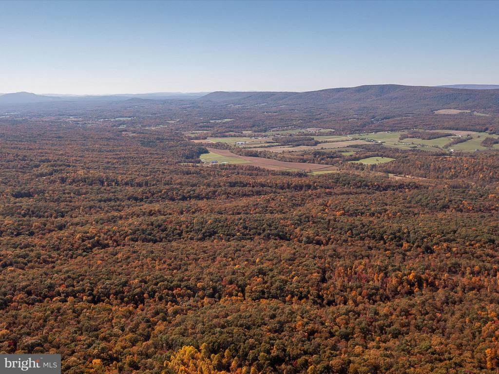 TUSCARORA PIKE PARCEL 13