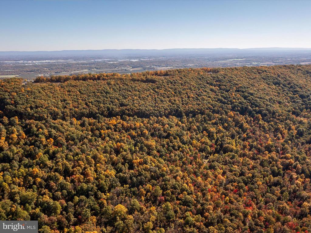 TUSCARORA PIKE PARCEL 13