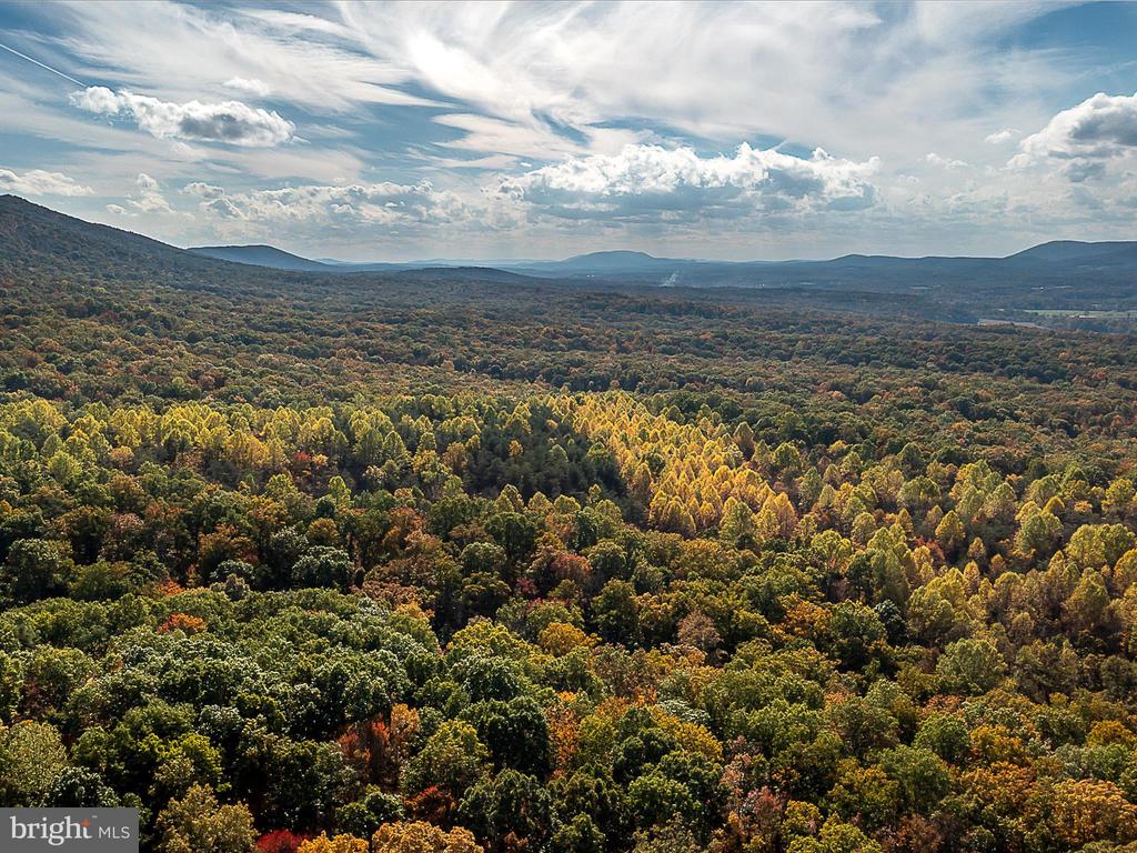 TUSCARORA PIKE PARCEL 13