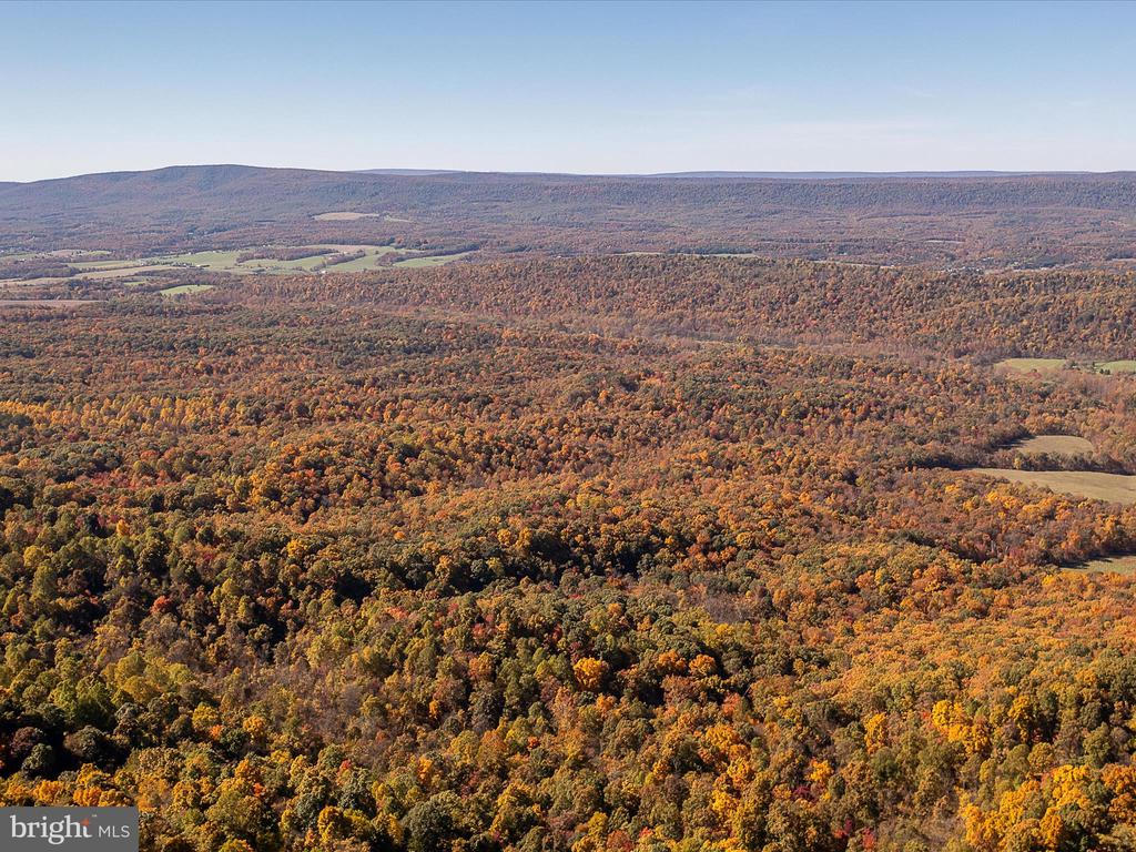 TUSCARORA PIKE PARCEL 13