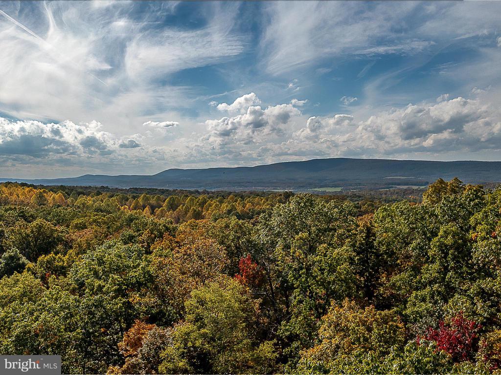 TUSCARORA PIKE PARCEL 13