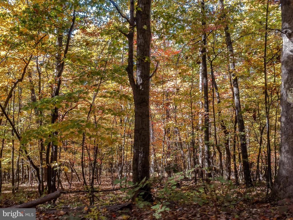 TUSCARORA PIKE PARCEL 14