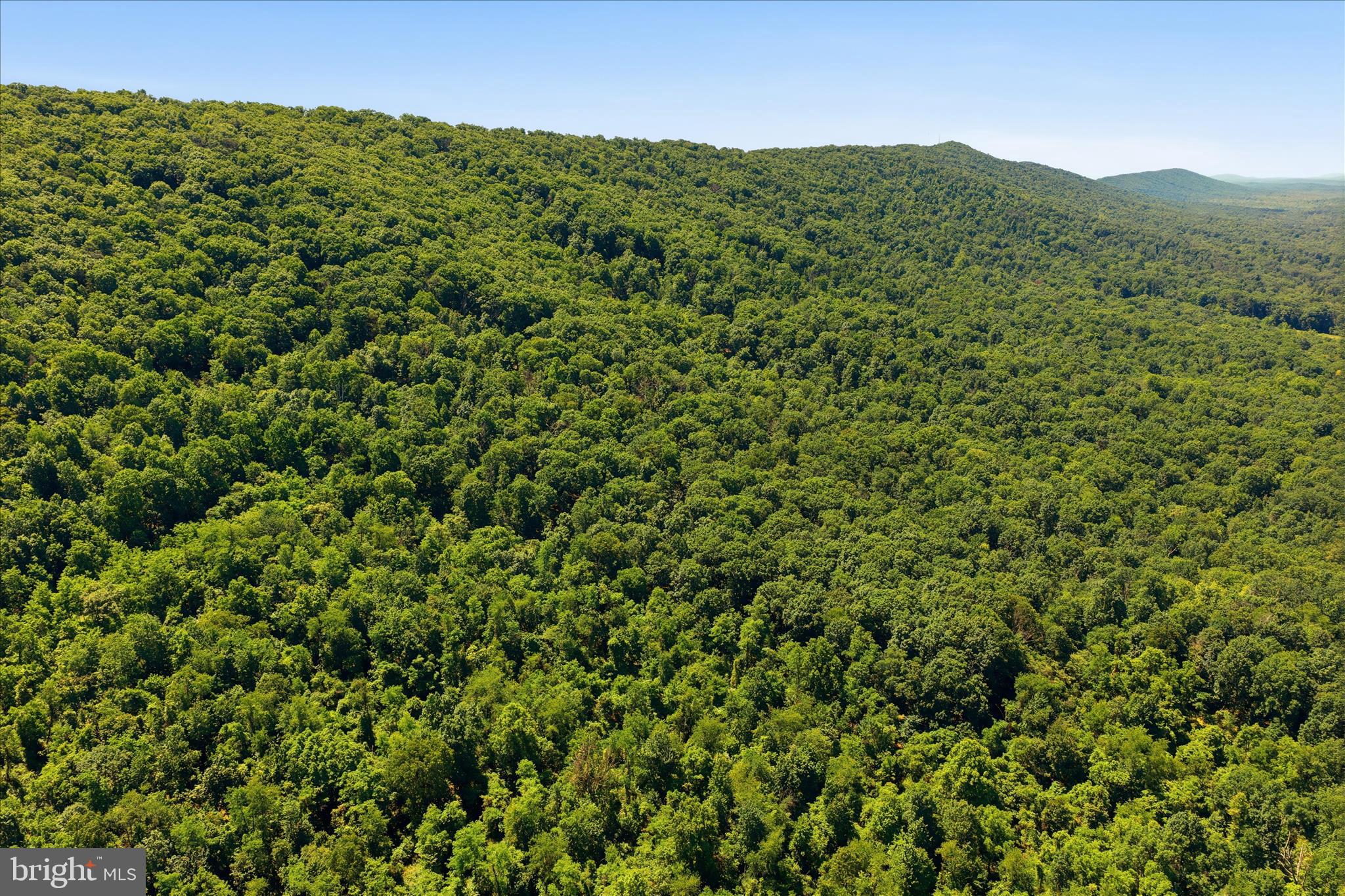 TUSCARORA PIKE PARCEL 14