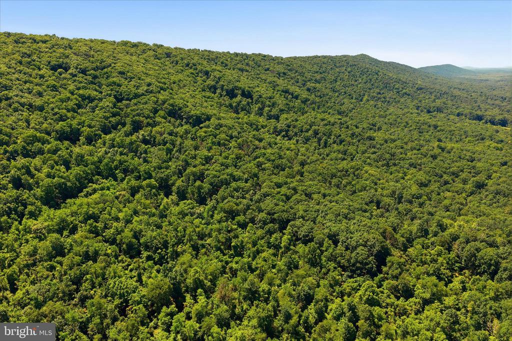TUSCARORA PIKE PARCEL 14