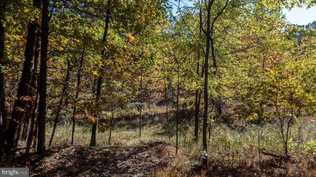 TUSCARORA PIKE PARCEL 14