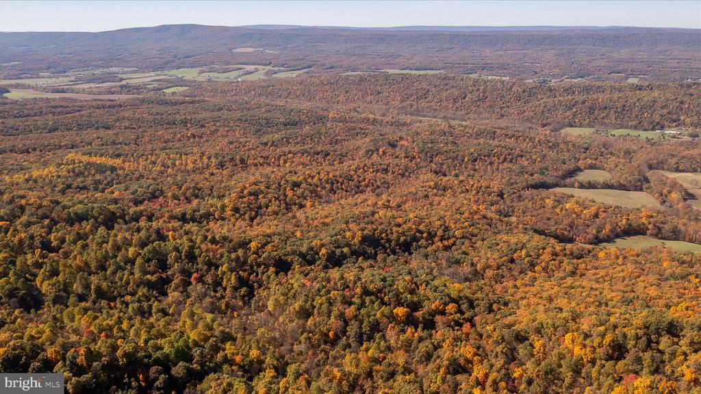 TUSCARORA PIKE PARCEL 14