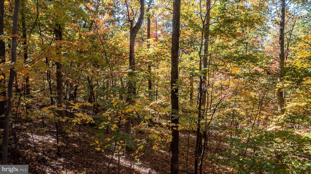 TUSCARORA PIKE PARCEL 14