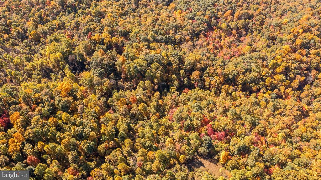 TUSCARORA PIKE PARCEL 14