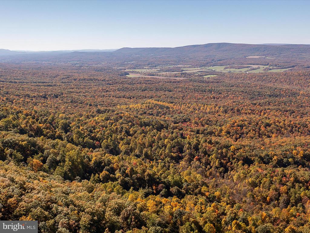 TUSCARORA PIKE PARCEL 14