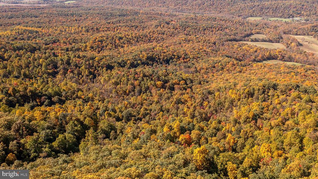 TUSCARORA PIKE PARCEL 14