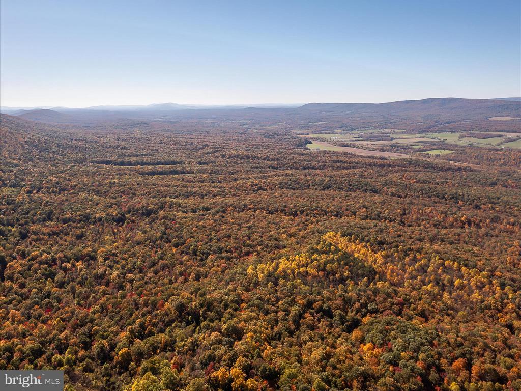 TUSCARORA PIKE PARCEL 14