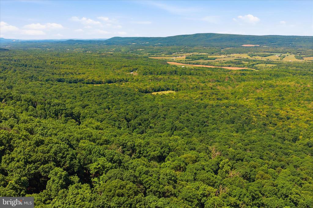 TUSCARORA PIKE PARCEL 14