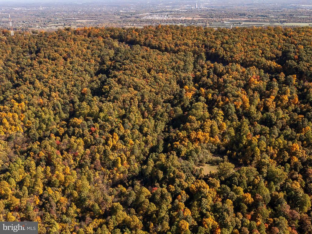 TUSCARORA PIKE PARCEL 14