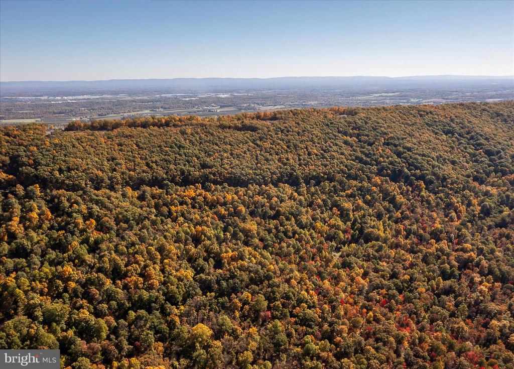 TUSCARORA PIKE PARCEL 14