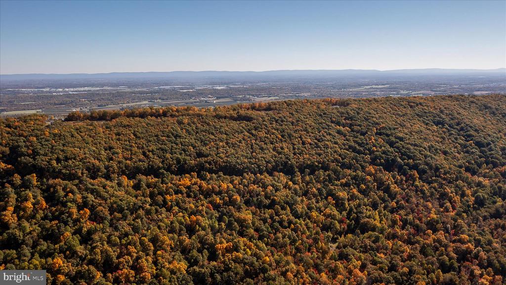 TUSCARORA PIKE PARCEL 14