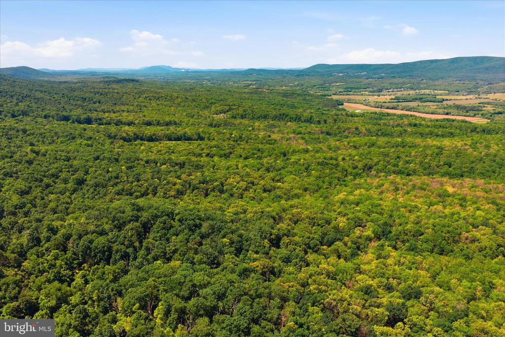 TUSCARORA PIKE PARCEL 14