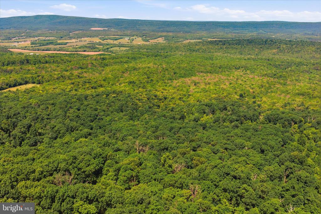 TUSCARORA PIKE PARCEL 14