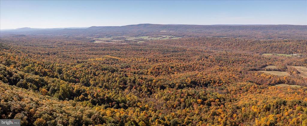 TUSCARORA PIKE PARCEL 14