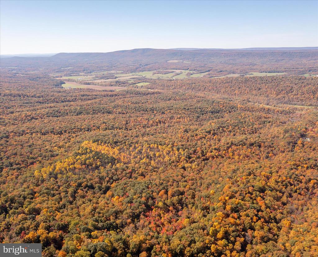 TUSCARORA PIKE PARCEL 14