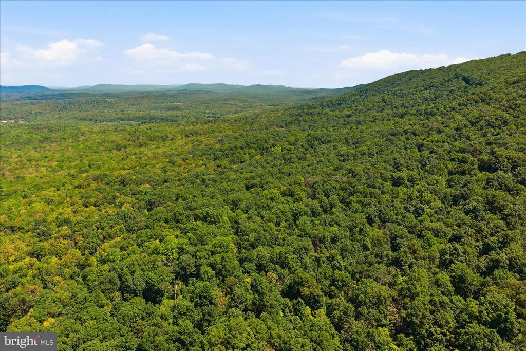 TUSCARORA PIKE PARCEL 14