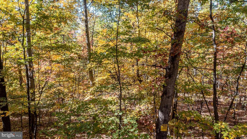 TUSCARORA PIKE PARCEL 14