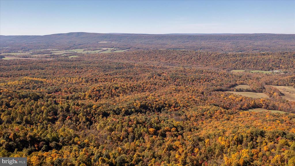TUSCARORA PIKE PARCEL 14