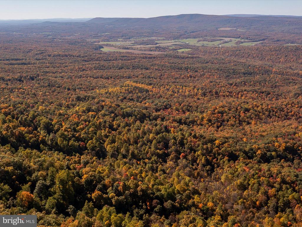 TUSCARORA PIKE PARCEL 14