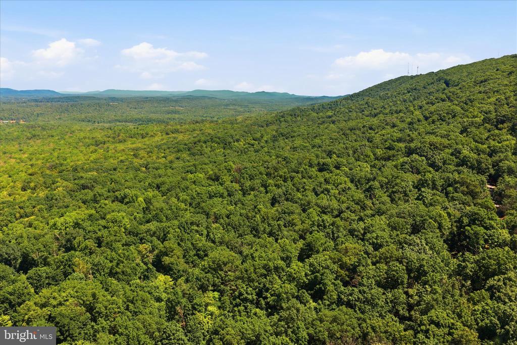 TUSCARORA PIKE PARCEL 14