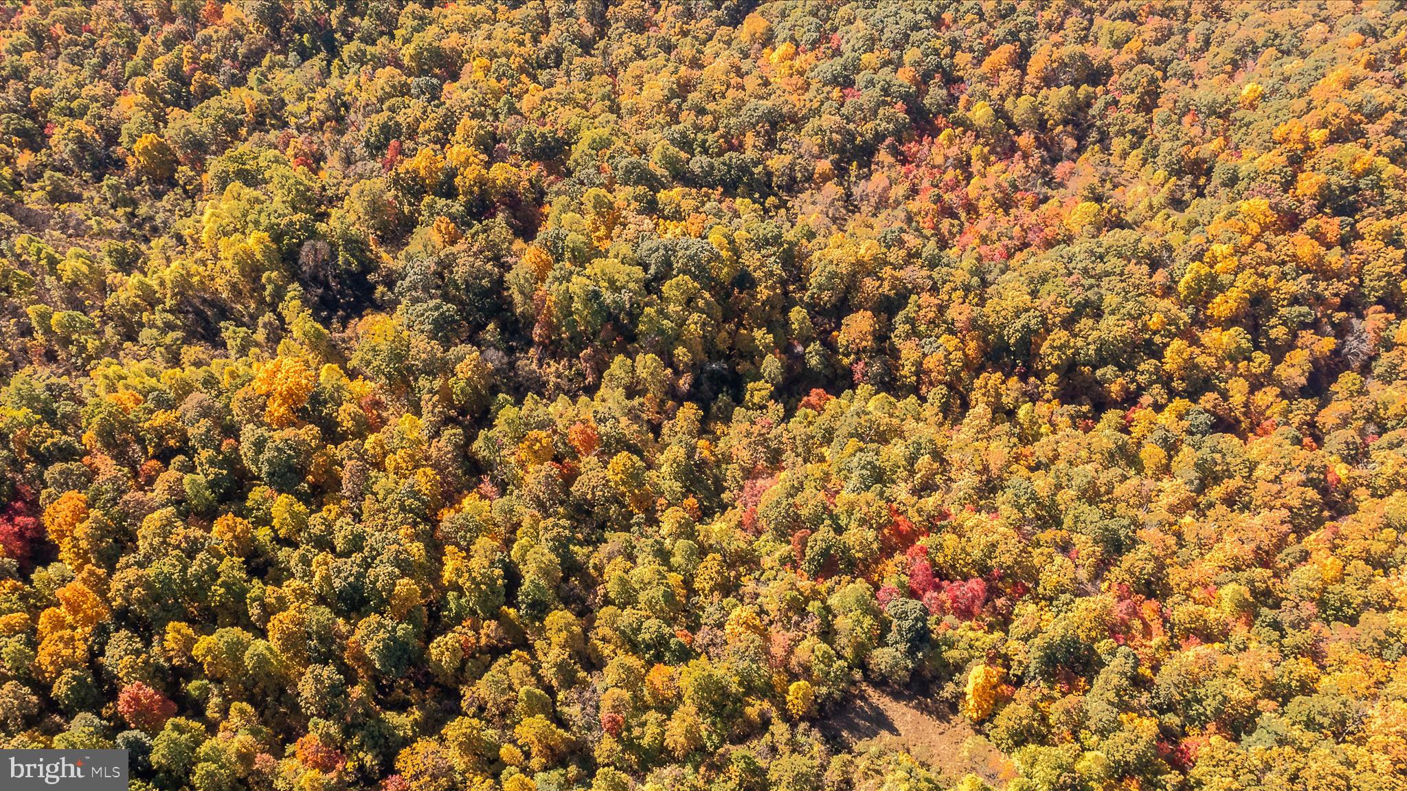 TUSCARORA PIKE PARCEL 14