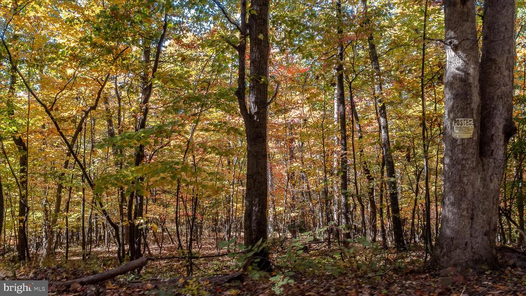 TUSCARORA PIKE PARCEL 14