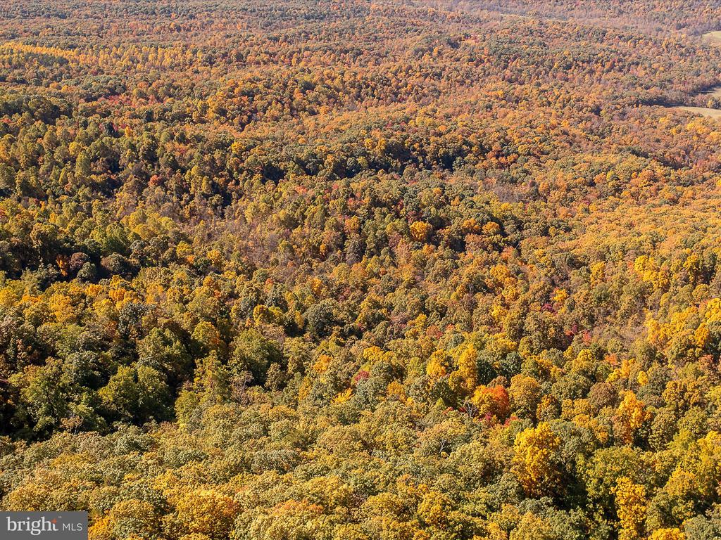 TUSCARORA PIKE PARCEL 14
