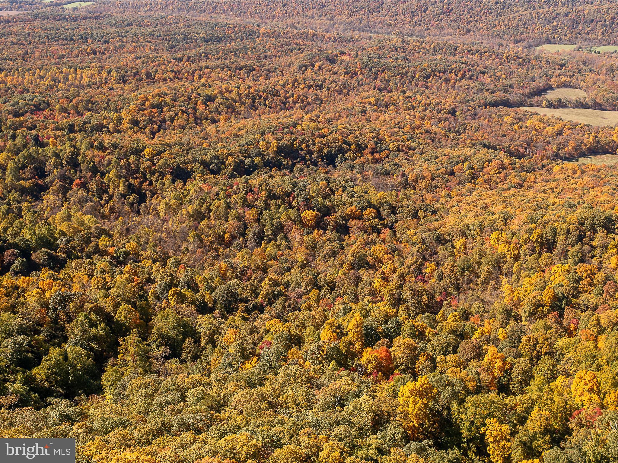 TUSCARORA PIKE PARCEL 14
