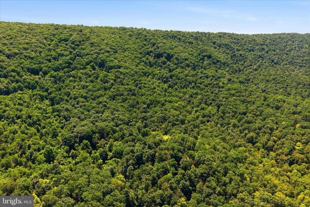 TUSCARORA PIKE PARCEL 14
