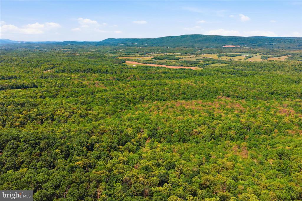 TUSCARORA PIKE PARCEL 14