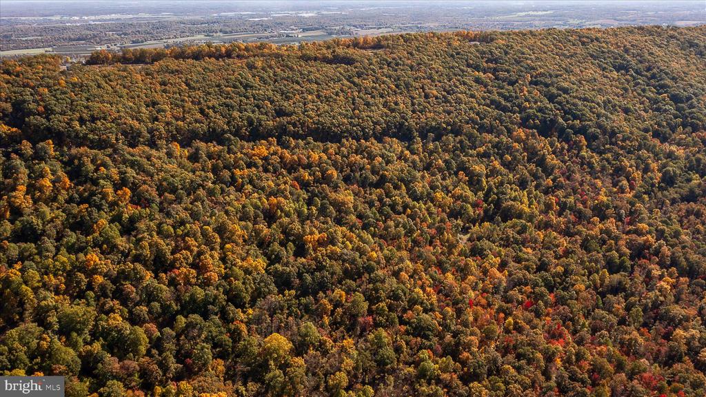 TUSCARORA PIKE PARCEL 14
