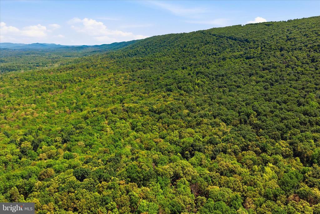 TUSCARORA PIKE PARCEL 14