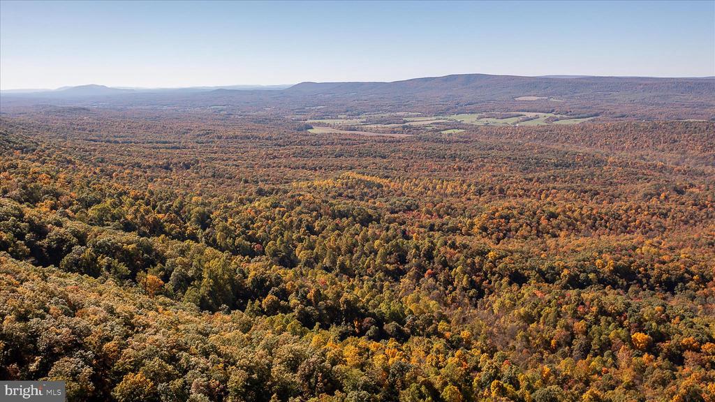 TUSCARORA PIKE PARCEL 14