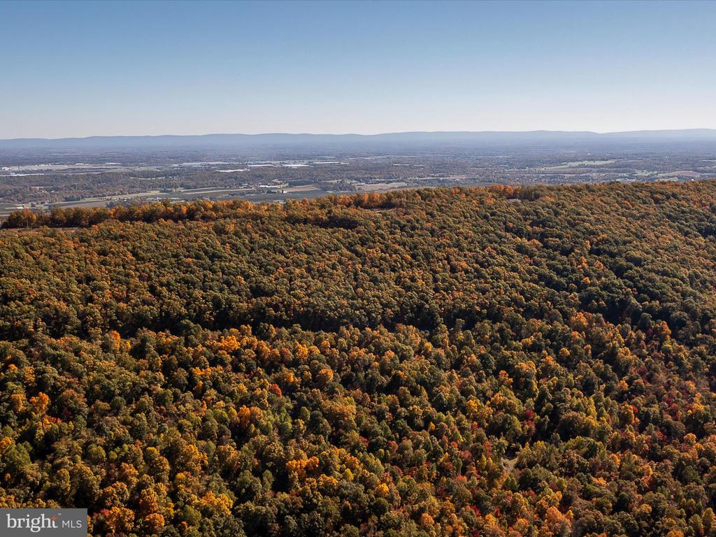 TUSCARORA PIKE PARCEL 14