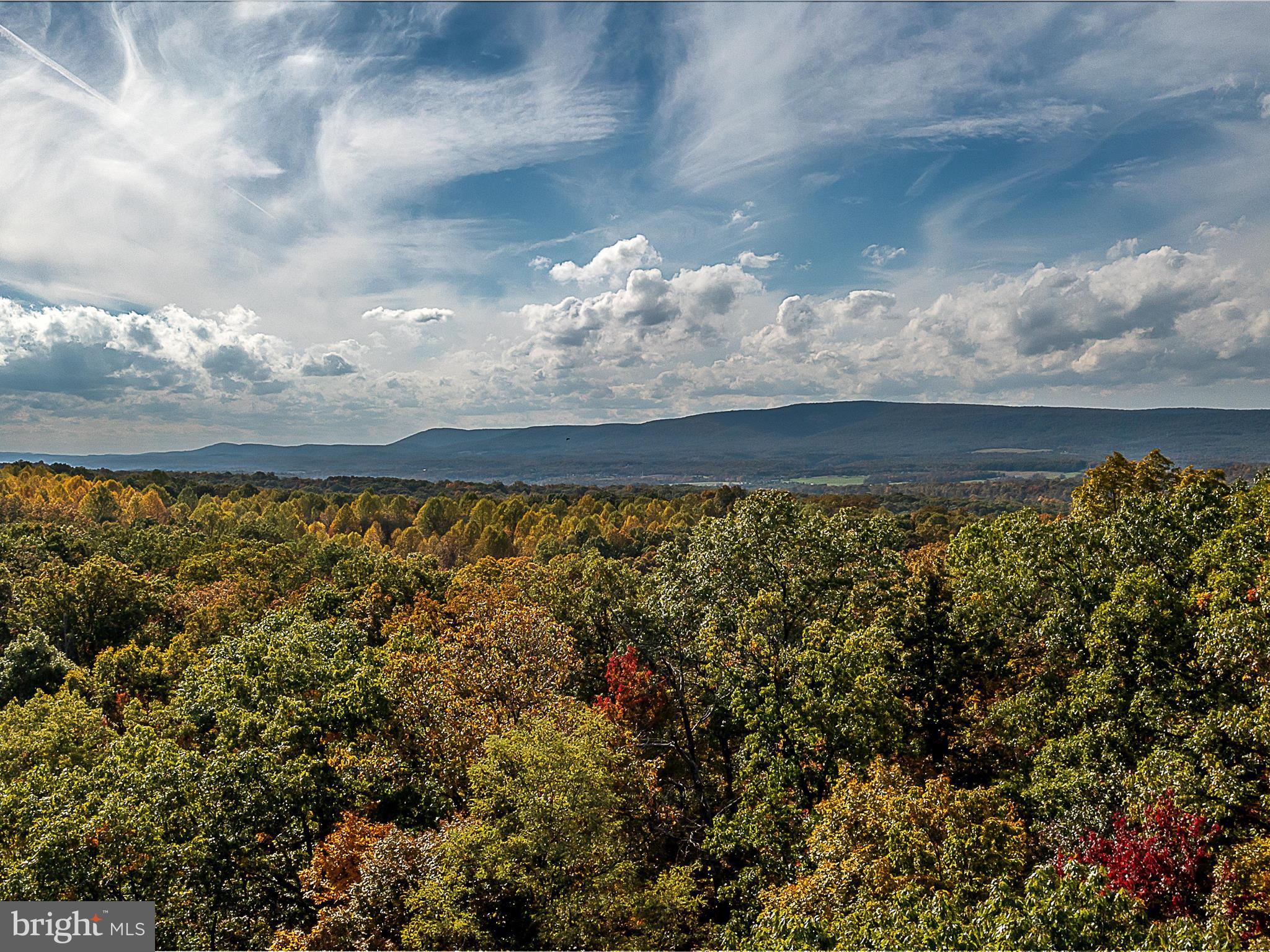 TUSCARORA PIKE PARCEL 14