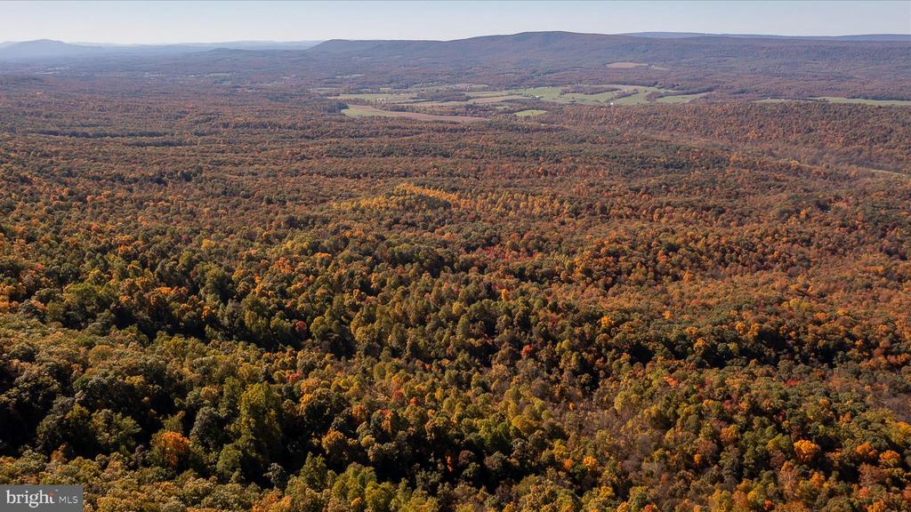 TUSCARORA PIKE PARCEL 14