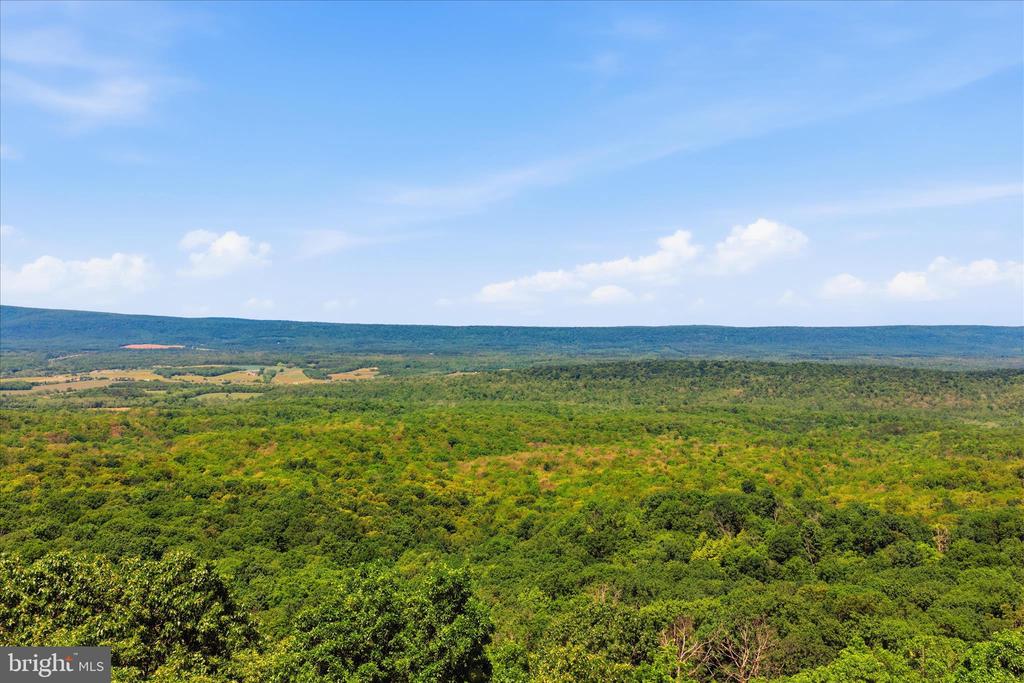 TUSCARORA PIKE PARCEL 14